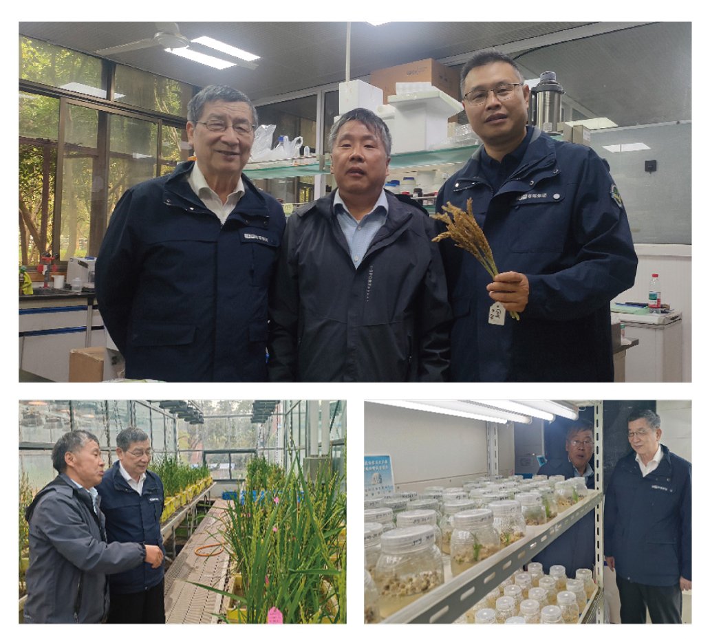 bti体育平台·(中国)官方网站