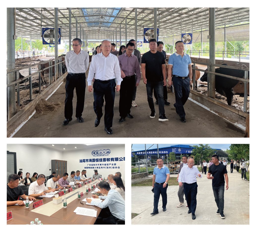 bti体育平台·(中国)官方网站