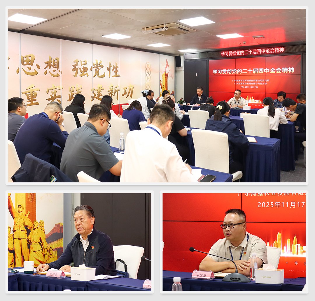 bti体育平台·(中国)官方网站