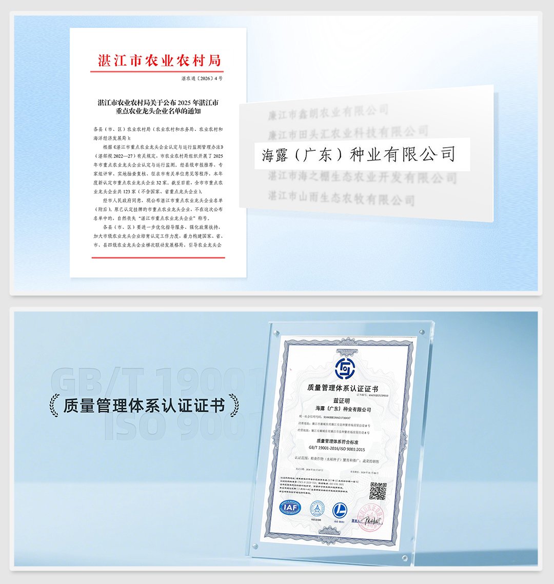 bti体育平台·(中国)官方网站