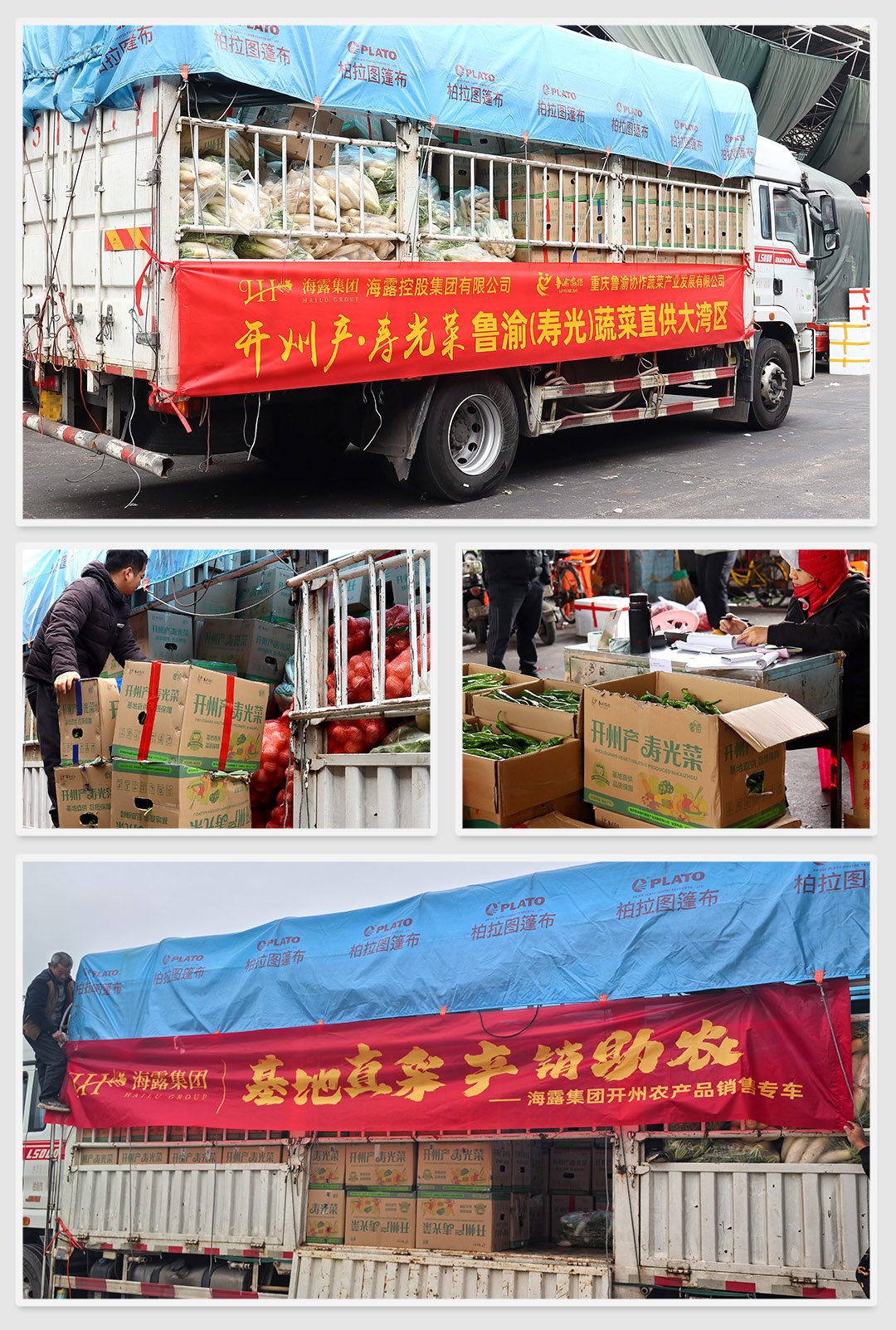 bti体育平台·(中国)官方网站